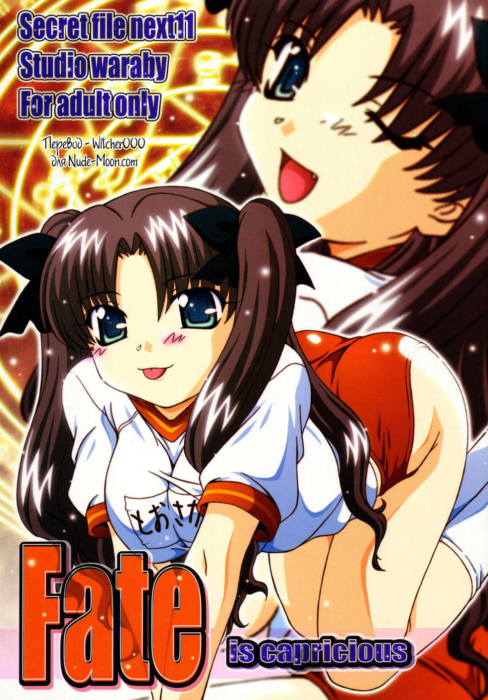 (C67) [Studio Wallaby (Takana Yu-ki)] SECRET FILE NEXT 11 - Fate is capricious (Fate/stay night) [Russian] [Witcher000] - Page 1
