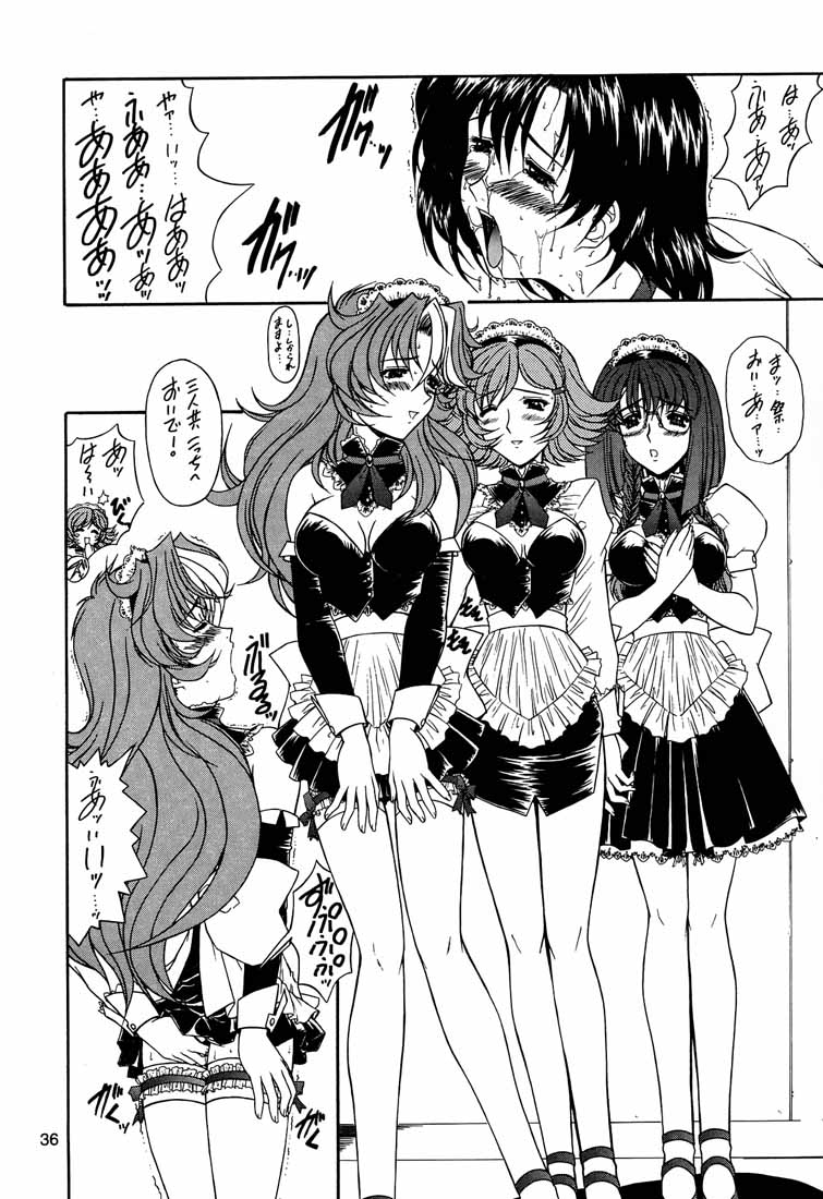 (C60) [Fukumaden (Ohkami Tomoyuki)] Yatagarasu BURST (Gunparade March) - Page 35