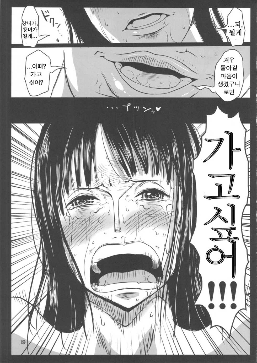 (C78) [8graphica (Yoshitama Ichirou)] Metabolism-OP Kyonyuu Kyoshiri Shoufu Nico Robin no Keshi Taikako (One Piece) [korean] - Page 18
