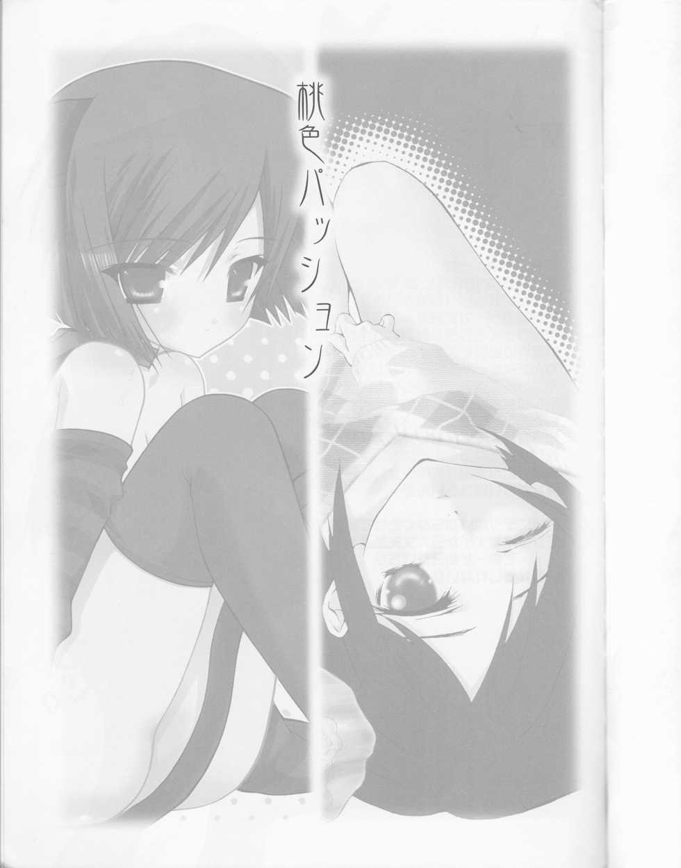 (CR32) [DELTA (nini, Kanno Tohko)] Momoiro Passion (Digimon Adventure 02) - Page 3