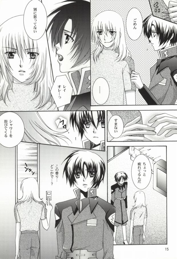 (C67) [Vitamin-x (Sanmangoku Hoshiko)] GOLD DUST (Gundam SEED DESTINY) - Page 13
