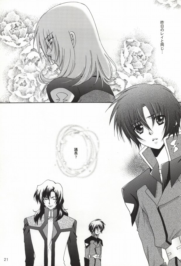 (C67) [Vitamin-x (Sanmangoku Hoshiko)] GOLD DUST (Gundam SEED DESTINY) - Page 19