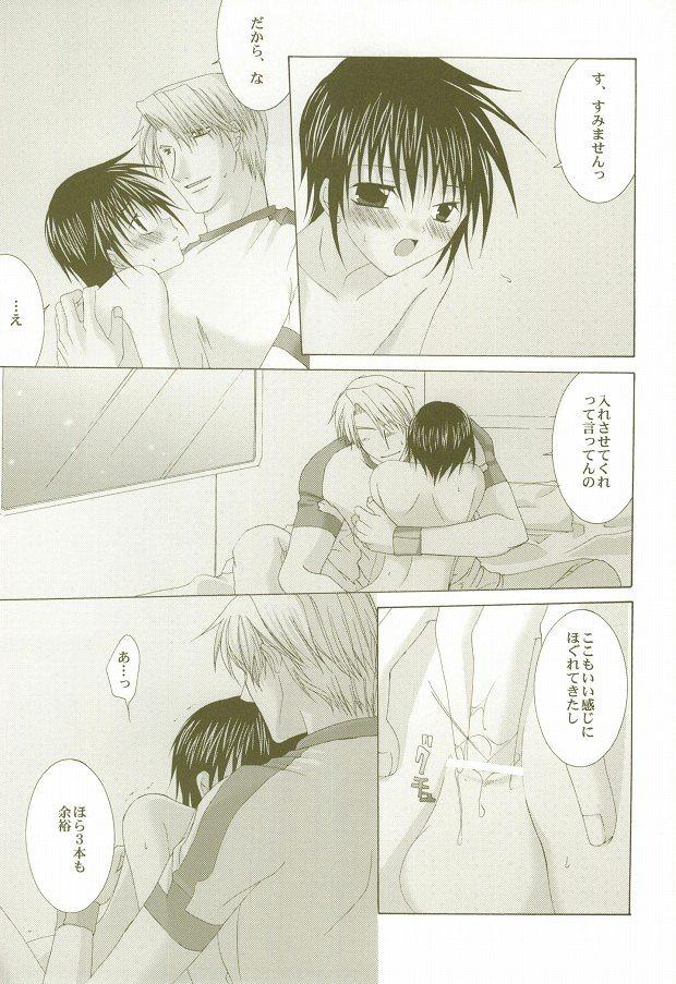 [LOVESEAT (Yuhka, Michiyo)] Perfect Crime #2 (Gundam SEED) - Page 14