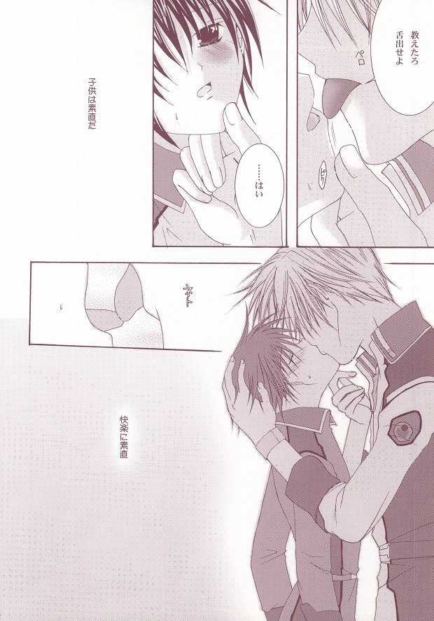 (C63) [LOVESEAT (Yuhka, Michiyo)] Perfect Crime (Gundam SEED) - Page 9