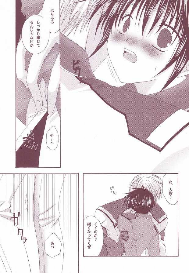 (C63) [LOVESEAT (Yuhka, Michiyo)] Perfect Crime (Gundam SEED) - Page 12