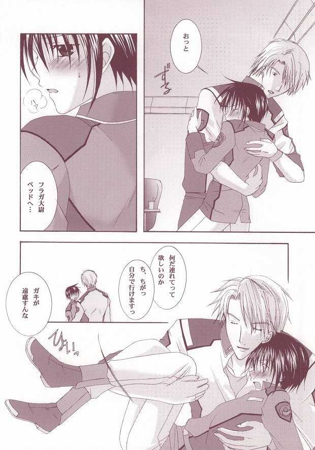 (C63) [LOVESEAT (Yuhka, Michiyo)] Perfect Crime (Gundam SEED) - Page 13