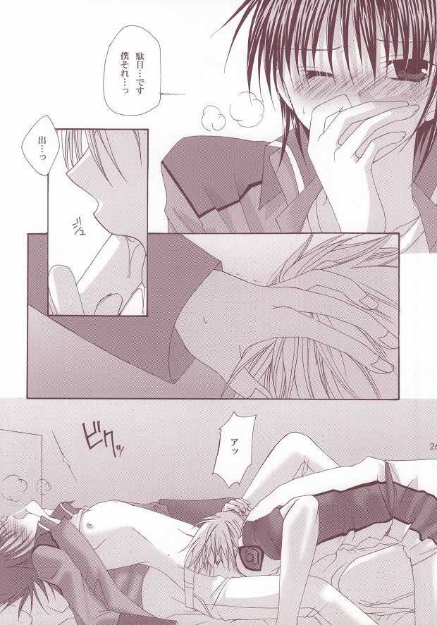 (C63) [LOVESEAT (Yuhka, Michiyo)] Perfect Crime (Gundam SEED) - Page 23