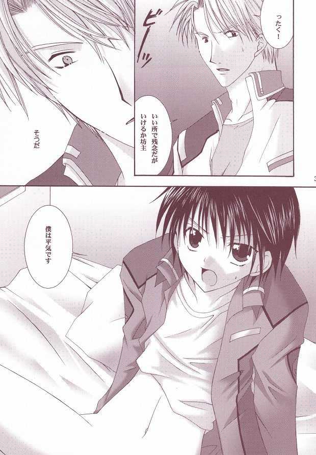(C63) [LOVESEAT (Yuhka, Michiyo)] Perfect Crime (Gundam SEED) - Page 32