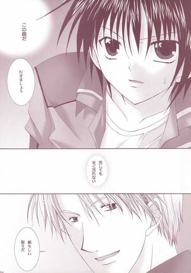 (C63) [LOVESEAT (Yuhka, Michiyo)] Perfect Crime (Gundam SEED) - Page 33