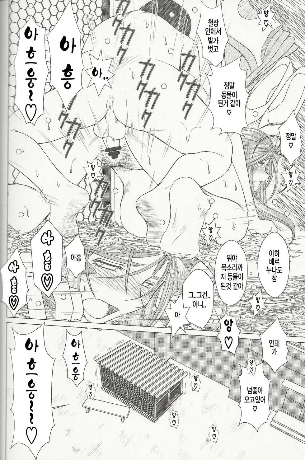 (C80) [CIRCLE OUTERWORLD (Chiba Shuusaku)] MIDGARD (Ah! My Goddess) [Korean] [팀 모에] - Page 13