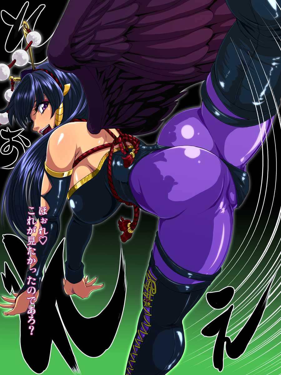 [LoveRevo (Waguchi Shouka)] Tengu Netsu (Dead or Alive) - Page 14