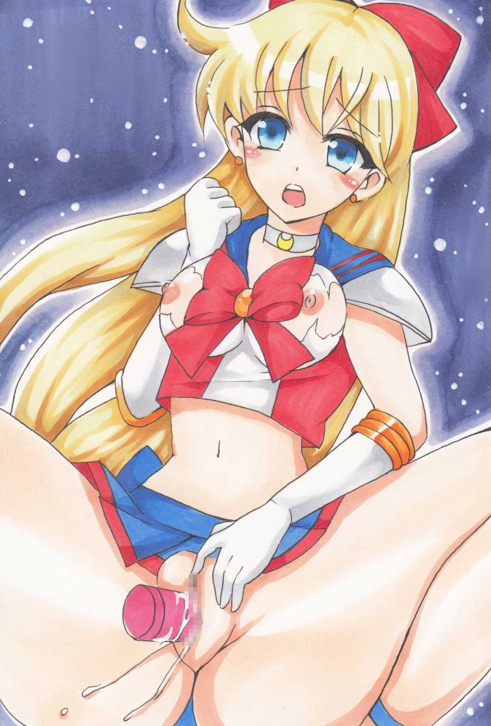 [MISO★] Sailor Venus - Kaki Illust-shuu 2 (Bishoujo Senshi Sailor Moon) - Page 14