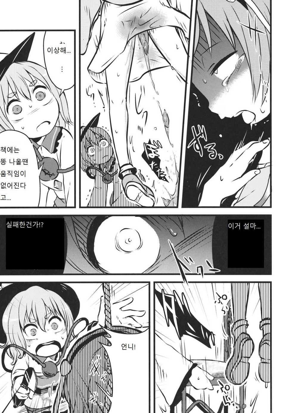 (Shuuki Reitaisai 2) [02 (Harasaki)] Happy Birthday My Sister (Touhou Project) [Korean] [팀 남성성기] - Page 11