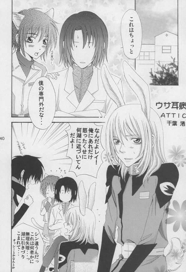 (C68) [Mutsuharu (Kagami Haruki)] Nekomimi Zouryouchuu (Gundam SEED DESTINY) [Incomplete] - Page 37
