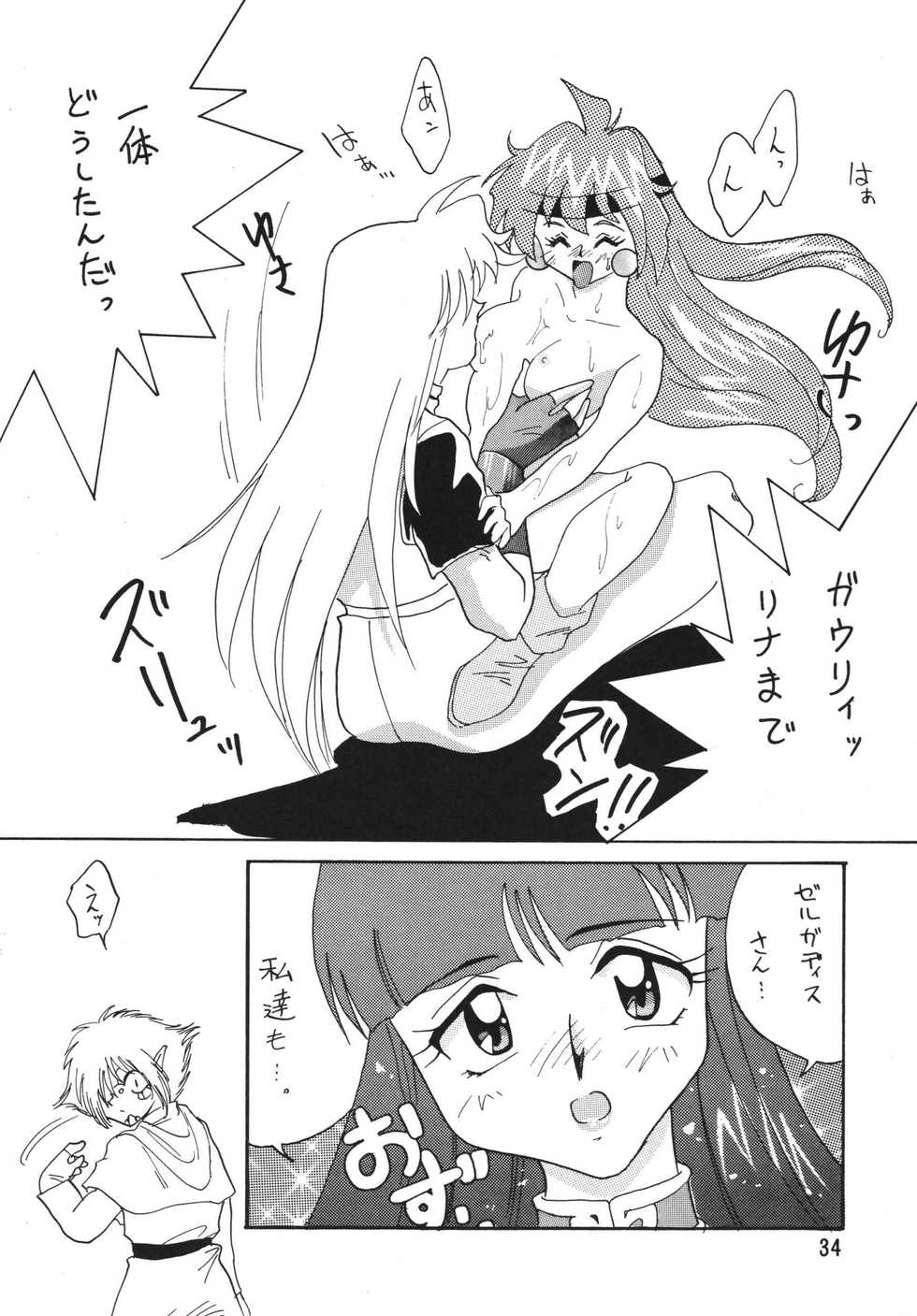 [Ginmomodou (Mita Satomi)] SLAYERS ADULT 2 (Slayers) [Digital] - Page 34