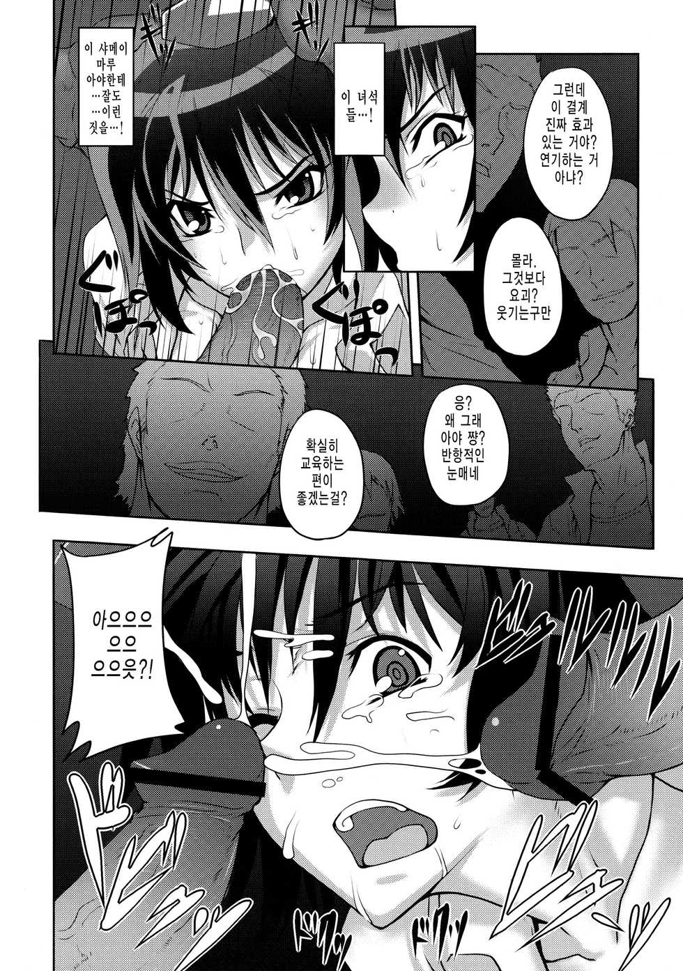 (C77) [Avion Village (Johnny)] Shigyaku Gensoukyou -Shameimaru Aya- (Touhou Project) [Korean] [미쿠다요] - Page 11