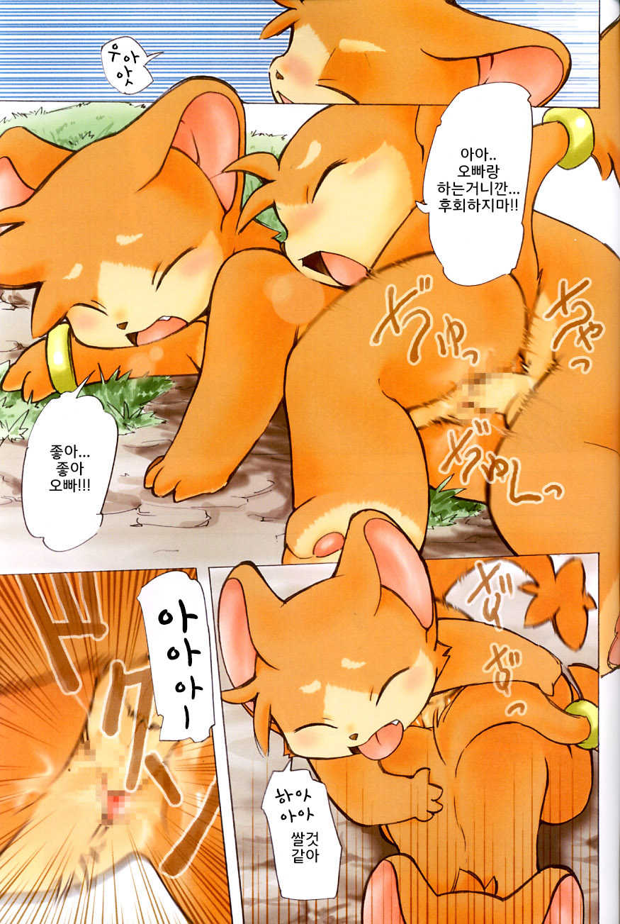 (C63) [Yuuzen Animal Dou (Yuuga Momiji)] FUR [Korean] [뀨뀨까까] - Page 9