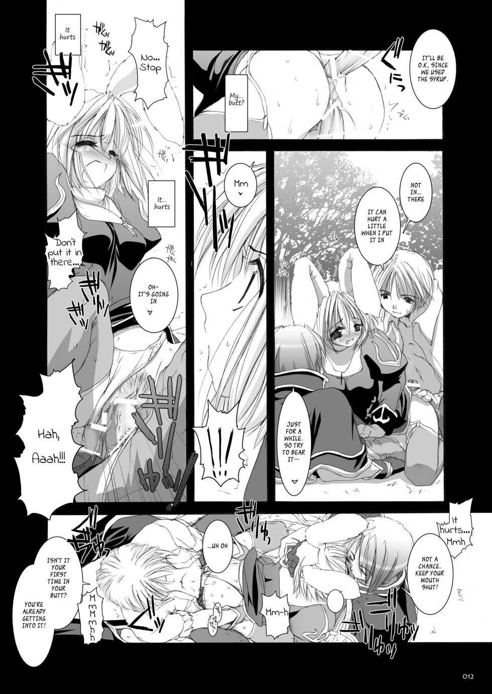 [Digital Lover (Nakajima Yuka)] Rough Sketch 11 (DL-RO Soushuuhen 02) (Ragnarok Online) [English] [EHCOVE] [Digital] - Page 11