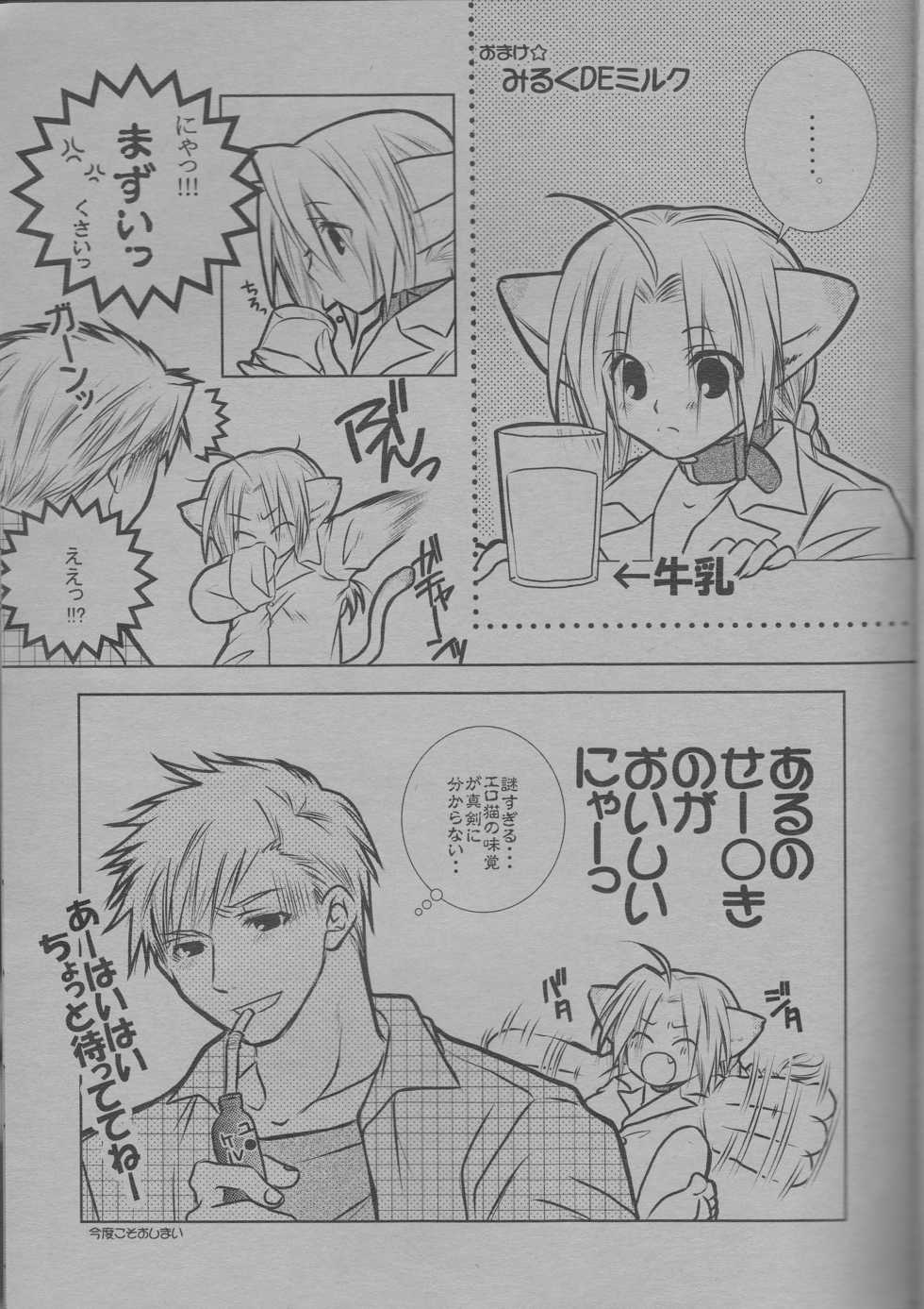 (C68) [HEAVENS (Tsukikage Manmaru)] Nyan Nyan (Fullmetal Alchemist) - Page 17