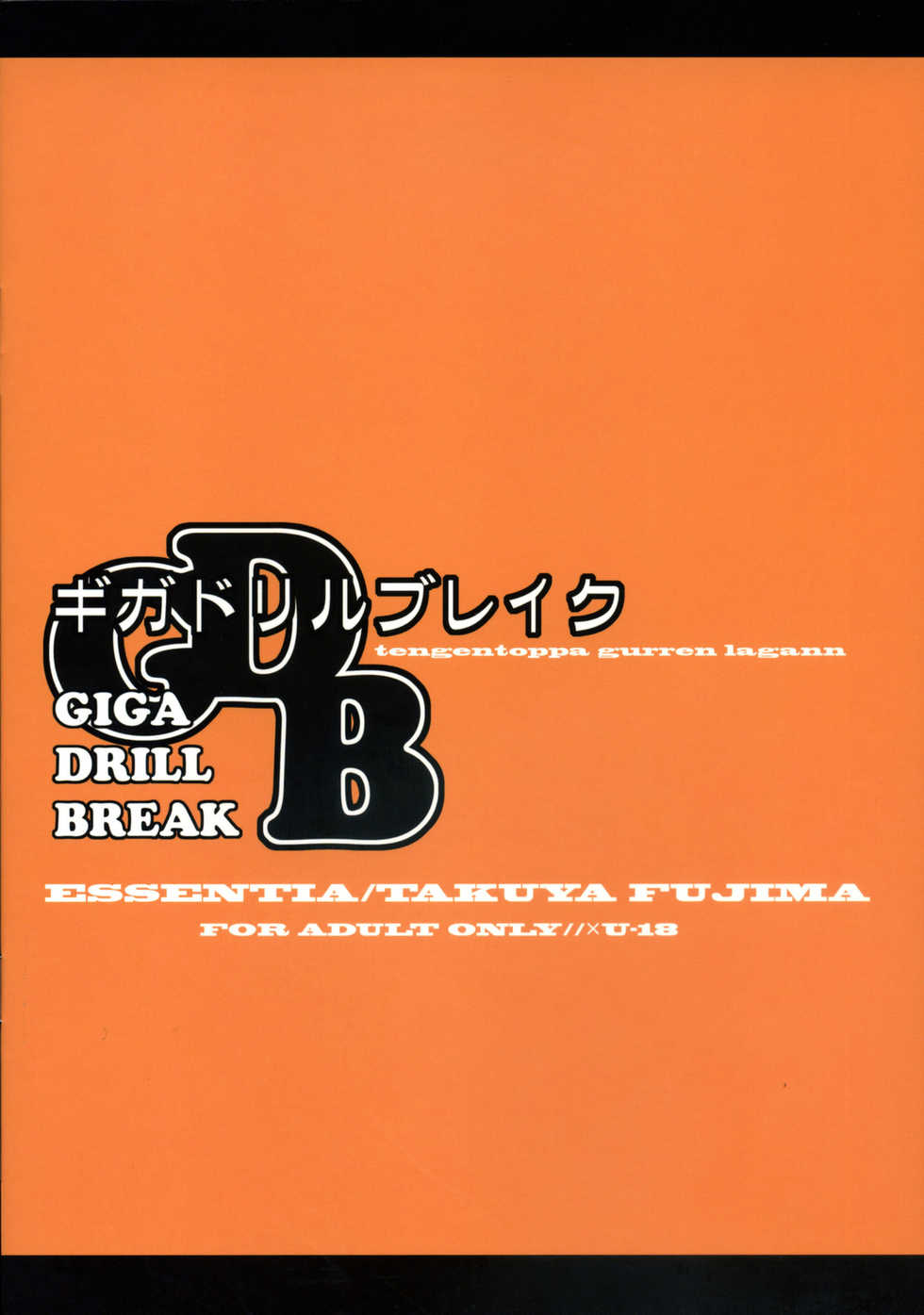 (C72) [ESSENTIA (Fujima Takuya)] GIGA DRILL BREAK | 기가 드릴 브레이크 (Tengen Toppa Gurren Lagann) [Korean] [Project H] - Page 18