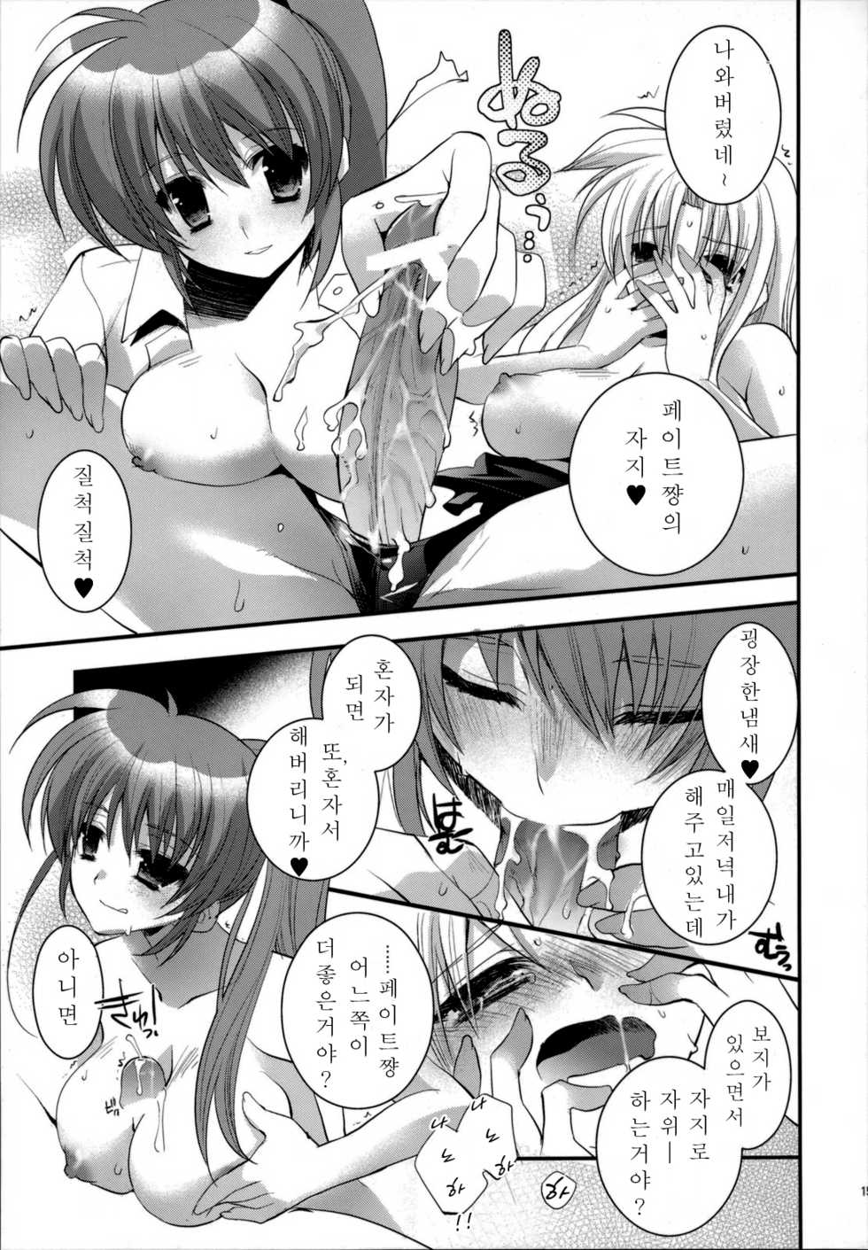 (C76) [ARESTICA (Ariko Youichi)] Starlight Syndrome (Mahou Shoujo Lyrical Nanoha) [Korean] [화려한불곰] - Page 13