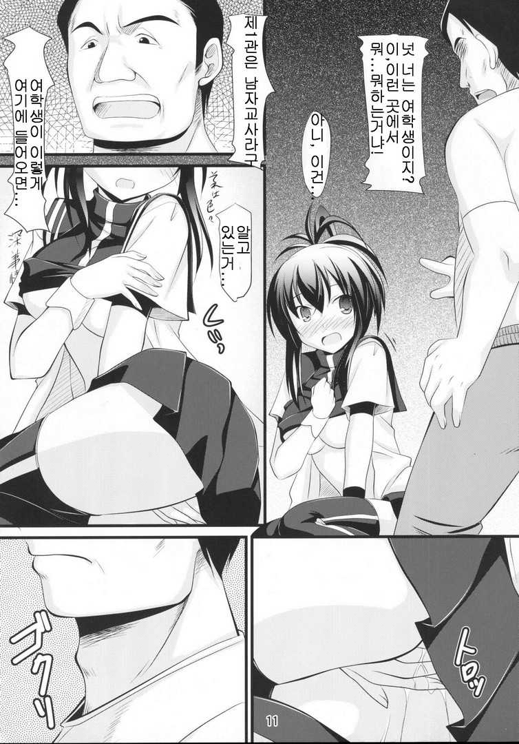 (C77) [Pokopen-Honpo (Shikato Miyo)] Natsuru SOS (Kämpfer) [Korean] - Page 12