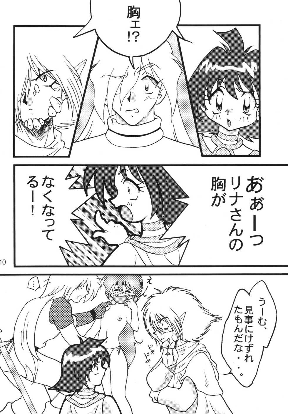 [Ginmomodou (Mita Satomi)] SLAYERS ADULT 9 (Slayers) [Digital] - Page 10