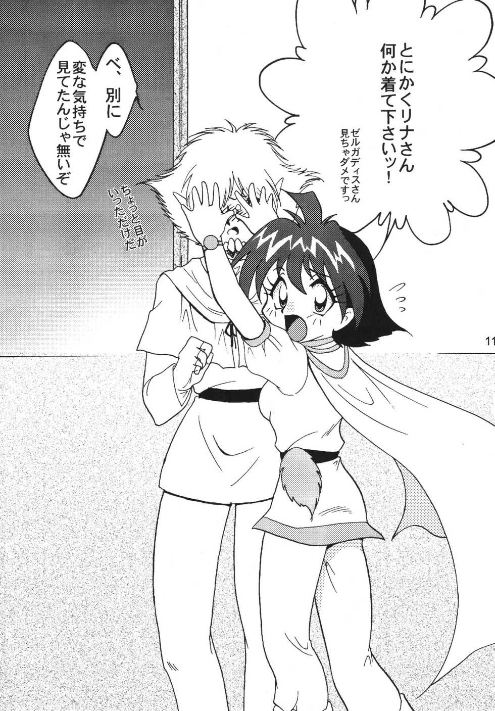 [Ginmomodou (Mita Satomi)] SLAYERS ADULT 9 (Slayers) [Digital] - Page 11