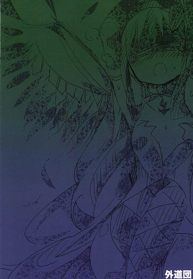 (Mou Nanimo Kowaku Nai 20) [Gedoudan (Gedou Danshaku)] Mahou Shoujo HD Part 3 HiSaya Kekkon Hen (Puella Magi Madoka Magica) - Page 21