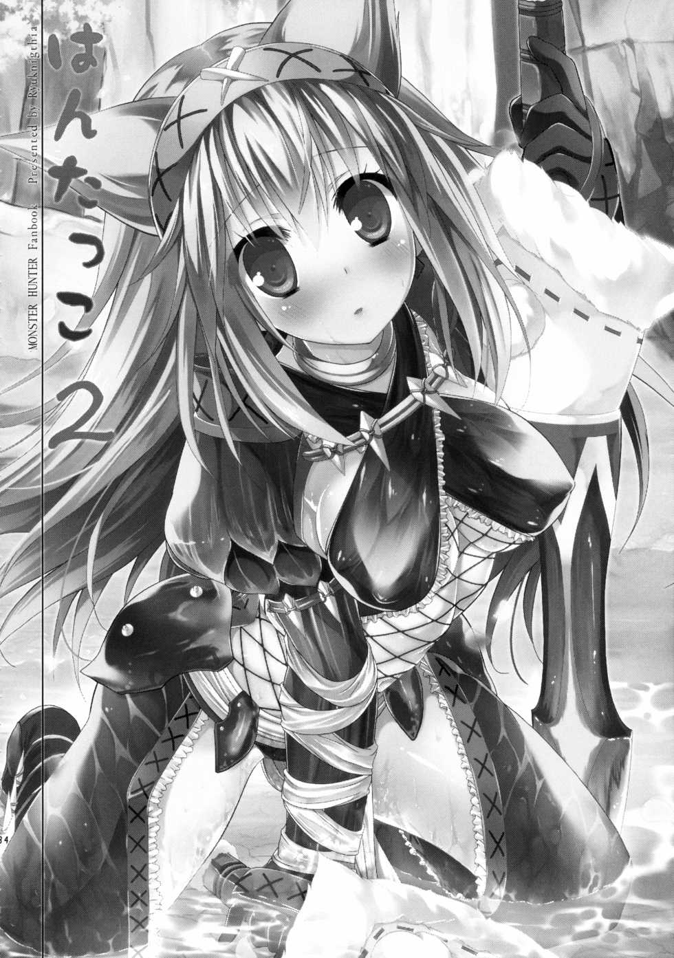 (C84) [Ryuknigthia (Kiduki Erika)] Hunterkko Memories (Monster Hunter) - Page 33