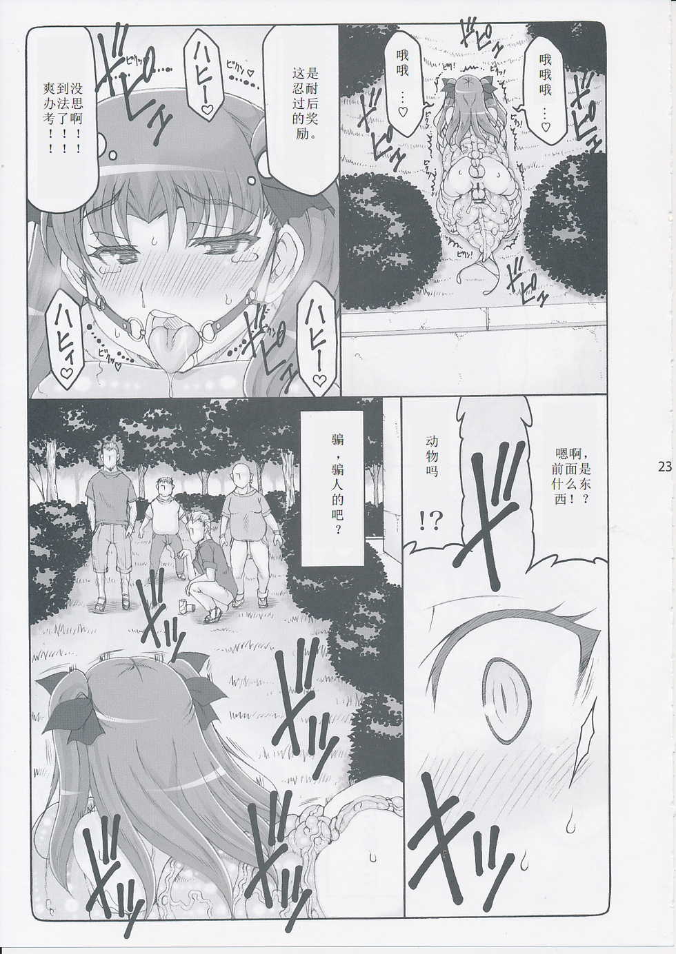 (C87) [Abarenbow Tengu (Izumi Yuujiro)] Kotori 11 (Fate/stay night) [Chinese] [个人汉化] - Page 22