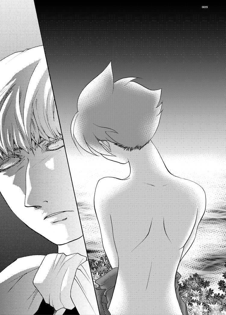 [Seinendoumei (U-K)] Ta ga Tame Uta Lorelei (Cyborg 009) [Digital] - Page 8