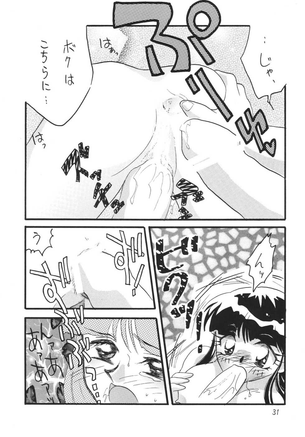 [Ginmomodou (Mita Satomi)] SLAYERS ADULT 11 (Slayers) [Digital] - Page 31