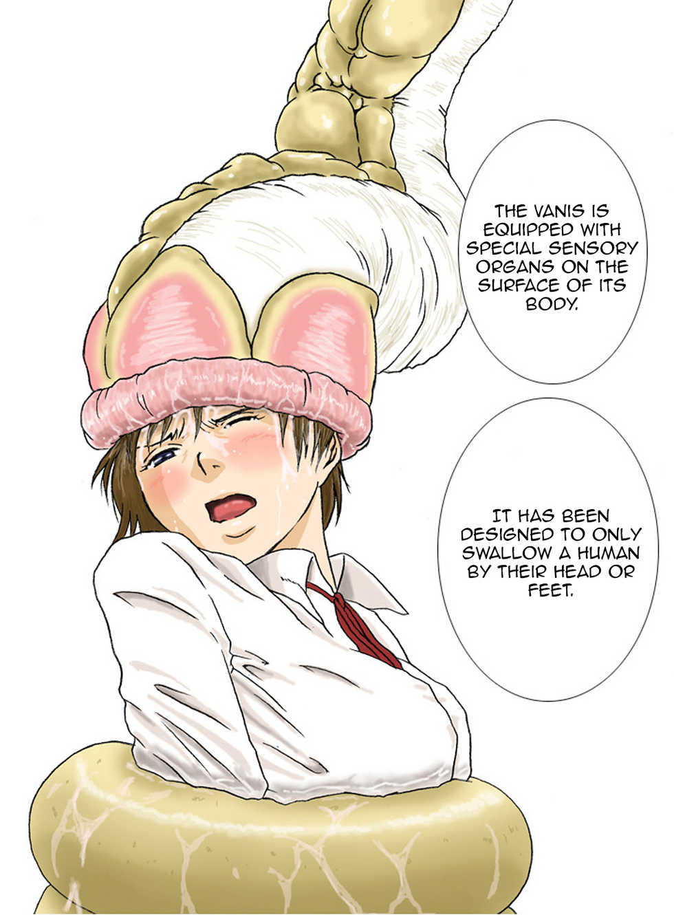 [Kasetsu Shirokuma (Yoi)] P045-02 Vanis Report [English] [CrayZayJay] - Page 25