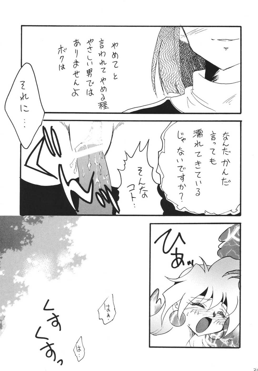 [Ginmomodou (Mita Satomi)] SLAYERS ADULT 12 (Slayers) [Digital] - Page 31