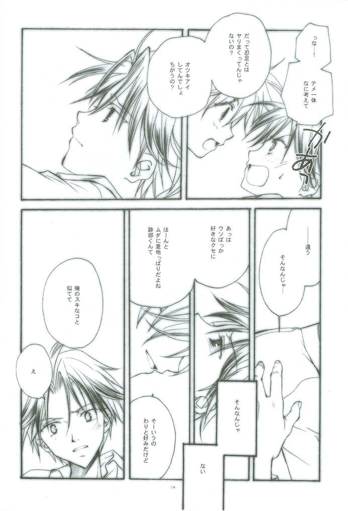 [FireCracker (Hoshino Shiho)] Hybrid Heroine (Prince of Tennis) - Page 13