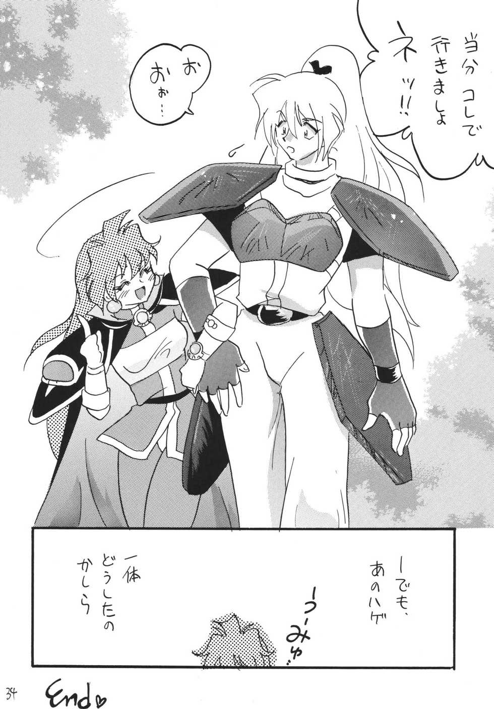[Ginmomodou (Mita Satomi)] SLAYERS ADULT 13 (Slayers) [Digital] - Page 34