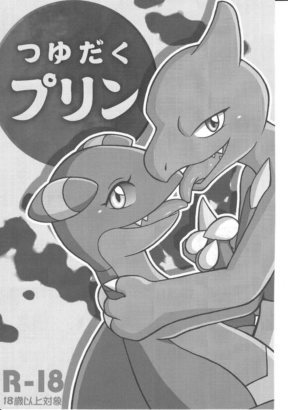 (Kemoket 3) [Honenuki Chicken. (Mikazuki Karasu)] Tsuyudaku Pudding | 말랑몽글 푸딩 (Pokémon) [Korean] [뀨뀨꺄꺄] - Page 18