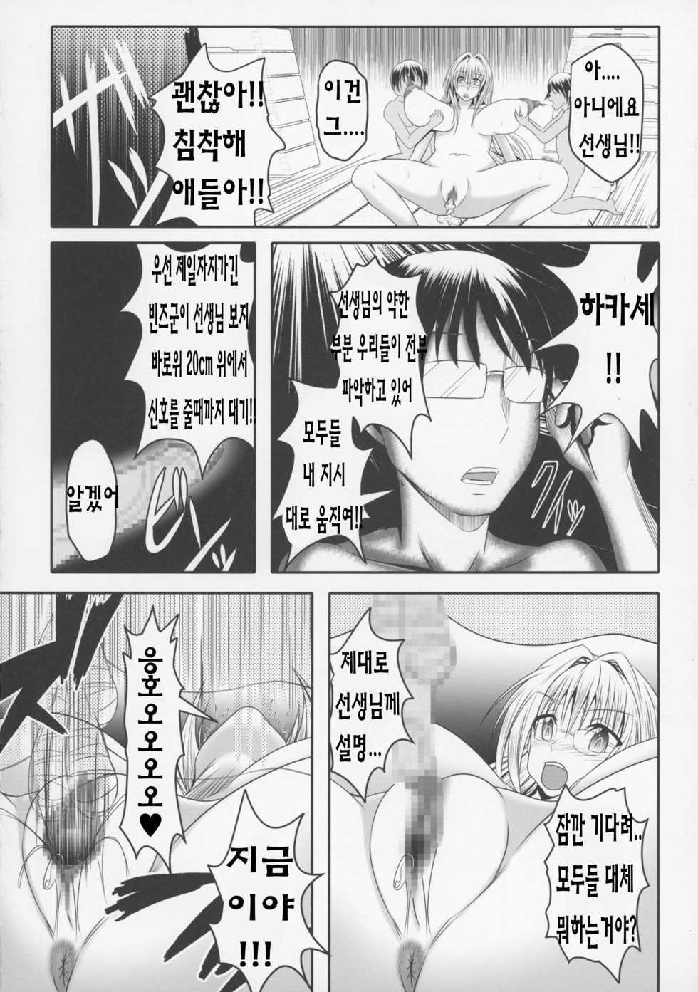 (C89) [Bitch Bokujou (Sandaime Bokujou Nushi Kiryuu Kazumasa)] Tearju Sensei de Asobou! (To LOVE-Ru) [Korean] - Page 13