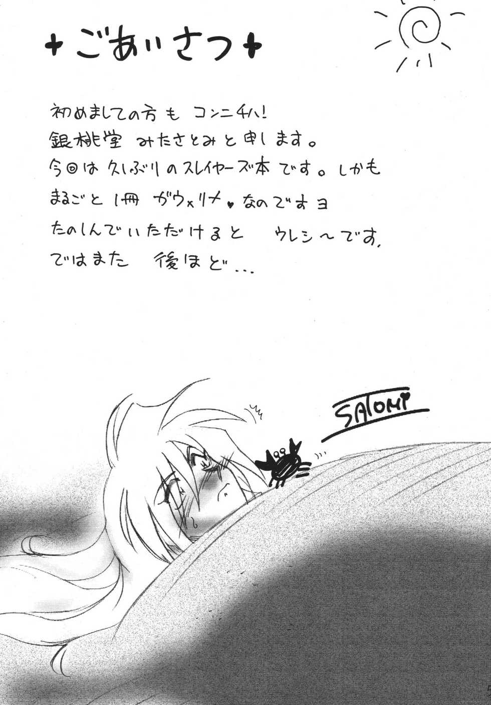[Ginmomodou (Mita Satomi)] GO!GO!! Slayers (Slayers) [Digital] - Page 5