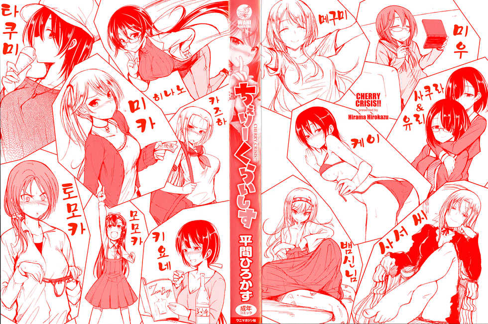 [Hirama Hirokazu] Cherry Crisis | 체리 크라이시스 [Korean] [Resist] - Page 3