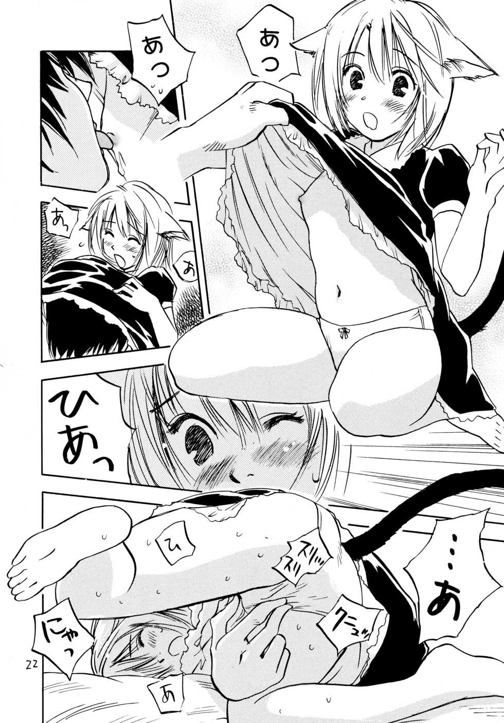 (C68) [RACK&PINION (Iogi Juichi)] Nyan Kororin - Page 22