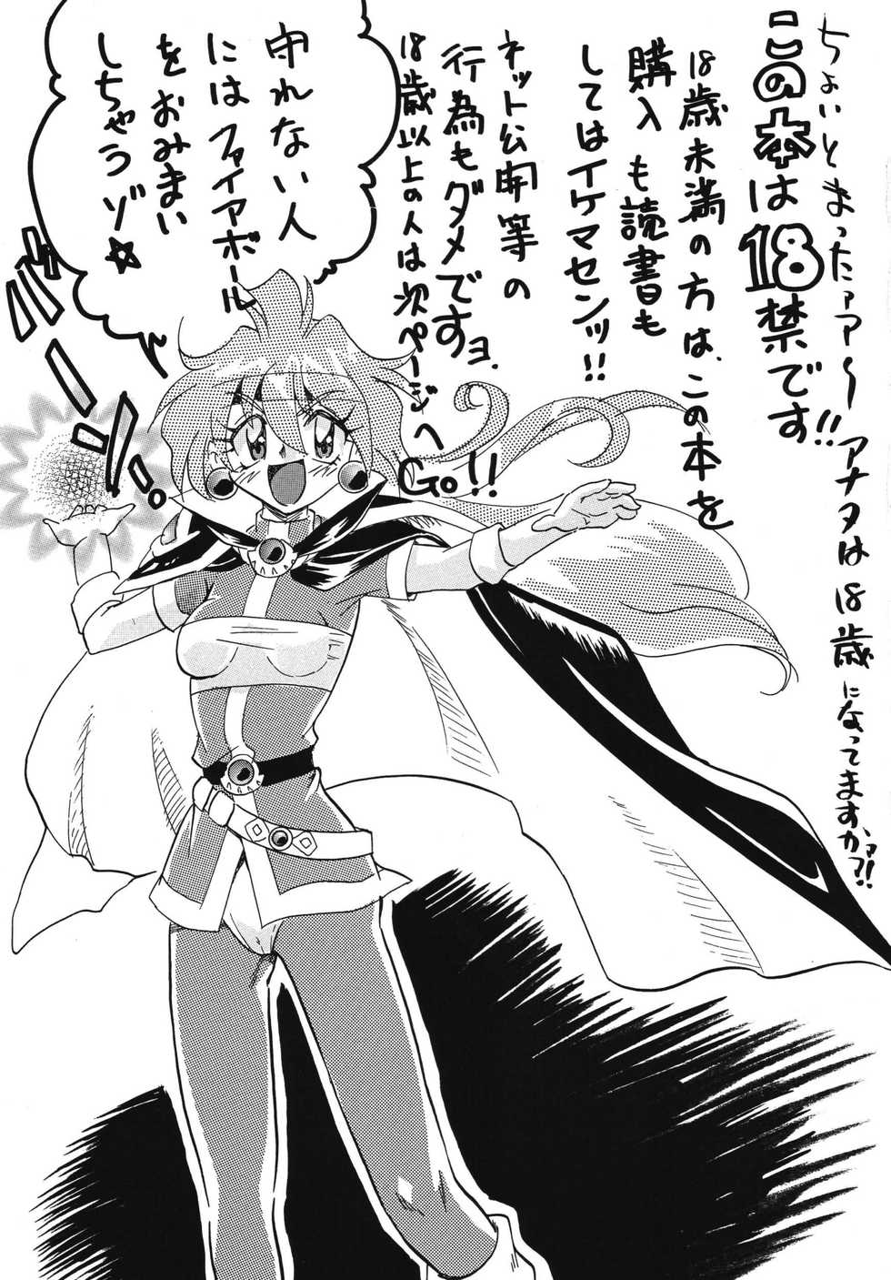 [E Gap (Ero Satomi)] Konya mo Abarechauzo (Slayers) [Digital] - Page 3