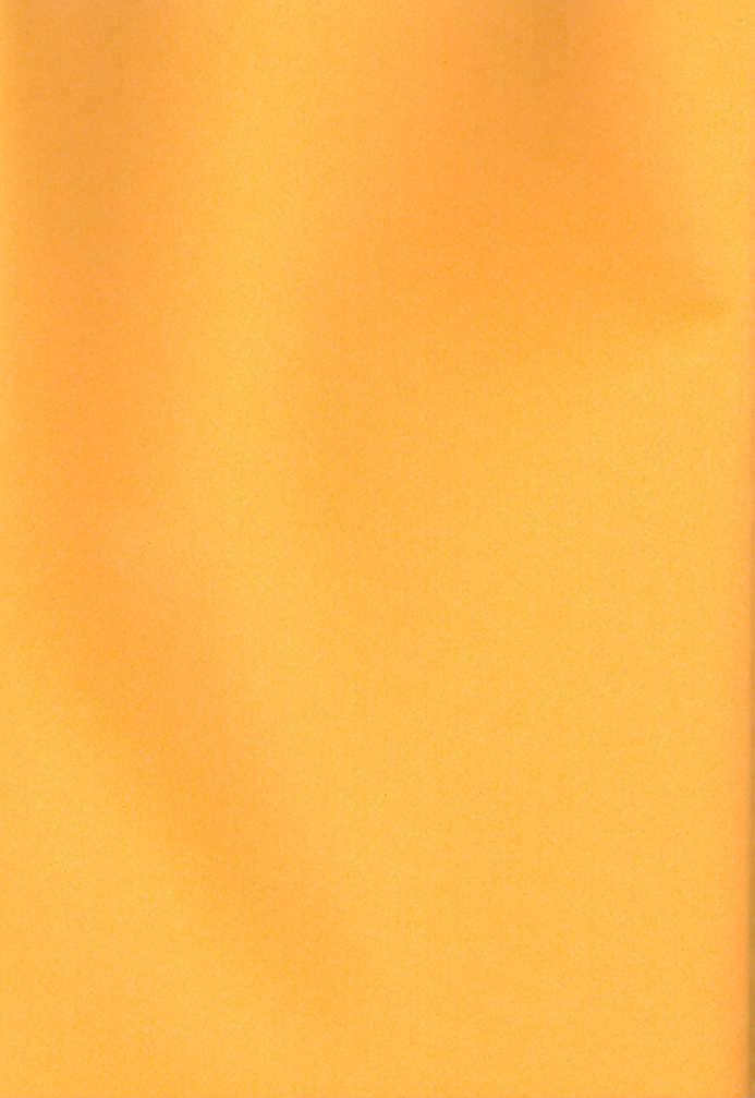 (C77) [4040, Sengoku cartoon (pei, Matsuzono)] Naiyou wa Futsuu janaikara... (Axis Powers Hetalia) - Page 2