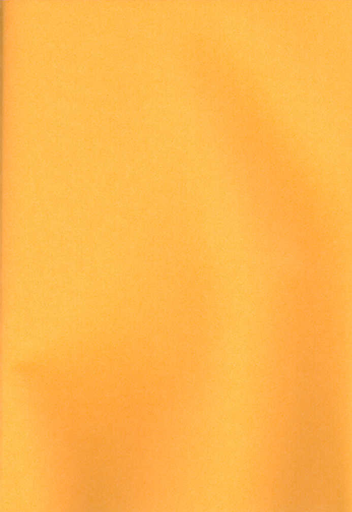 (C77) [4040, Sengoku cartoon (pei, Matsuzono)] Naiyou wa Futsuu janaikara... (Axis Powers Hetalia) - Page 3