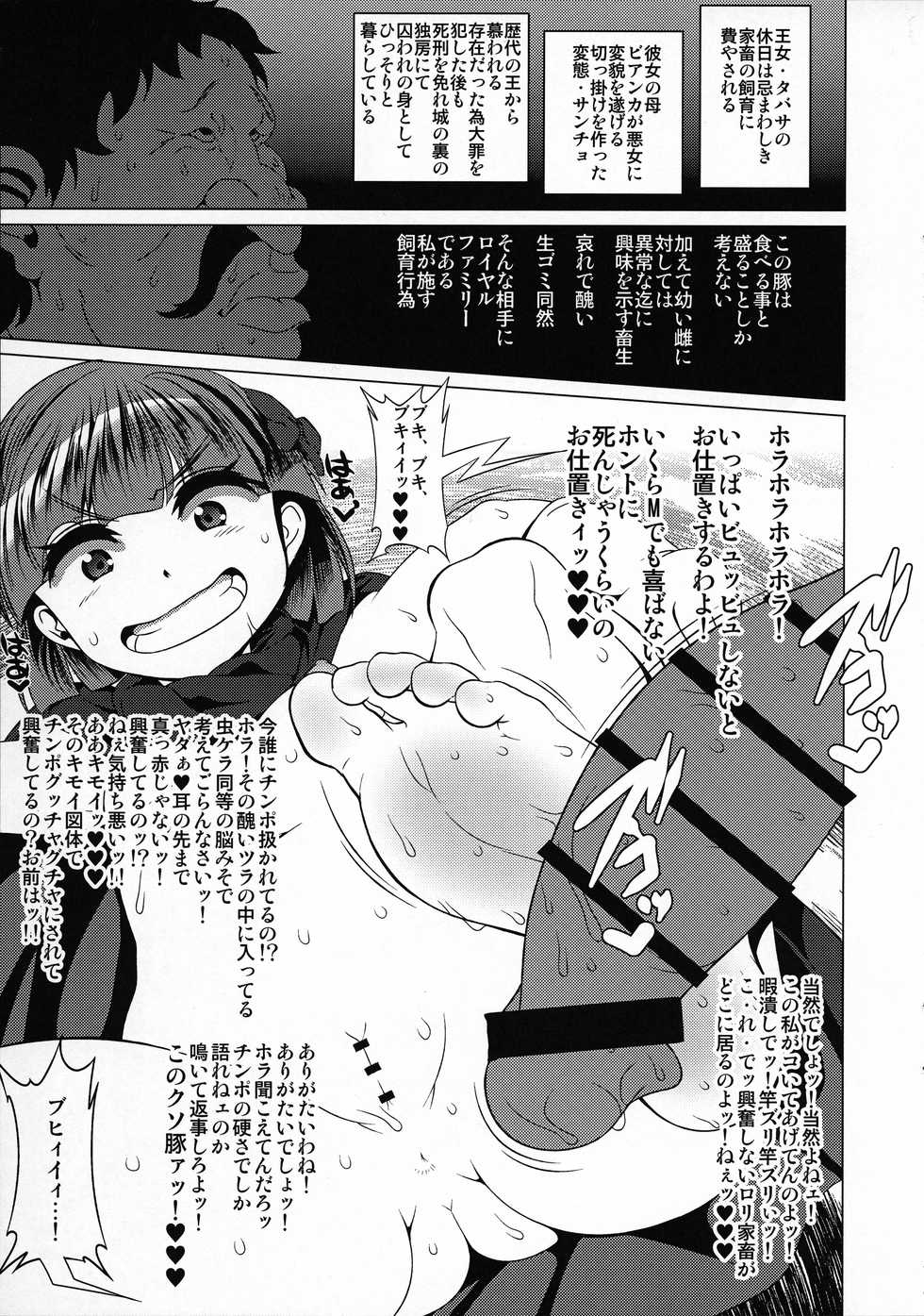 (C89) [Heart's nest (hato)] Ouhi no Tawamure (Dragon Quest V) - Page 12