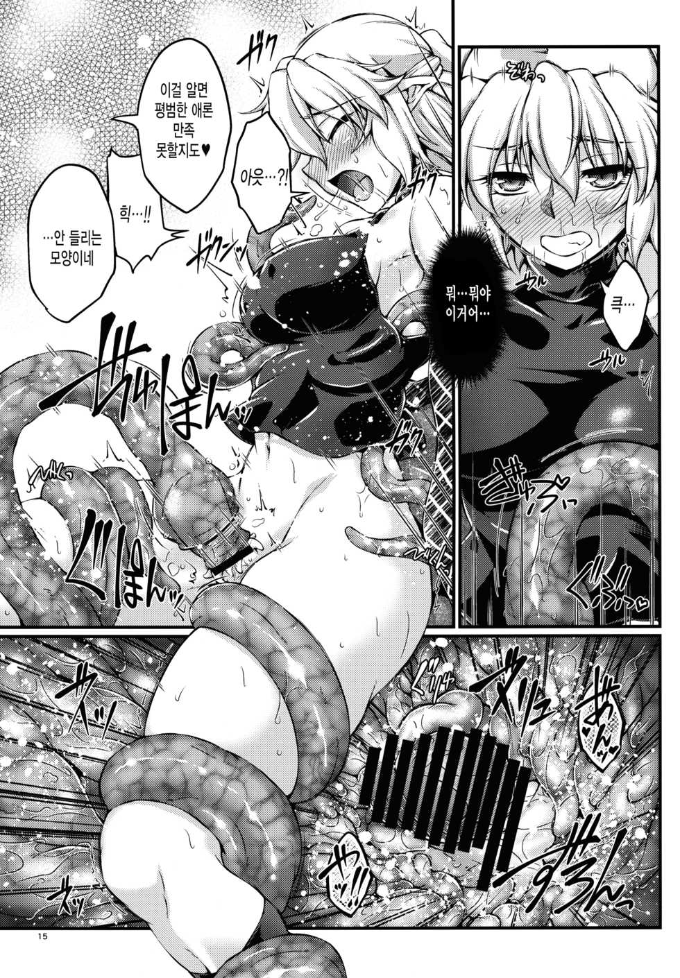 (C89) [Kougeki (Ootsuki Wataru)] Hashihime Shinshoku -Roku- (Touhou Project) [Korean] [미쿠다요] - Page 14