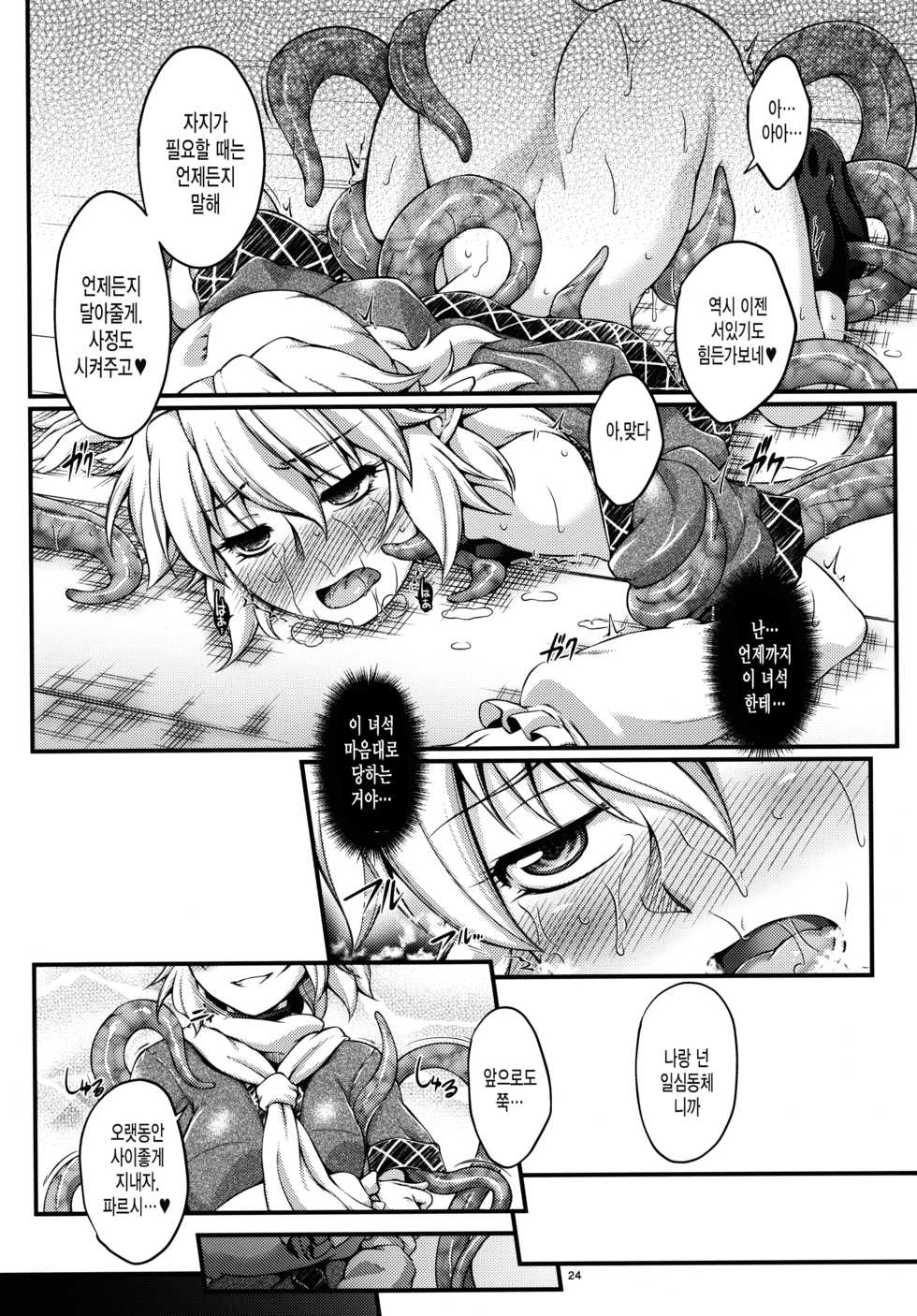 (C89) [Kougeki (Ootsuki Wataru)] Hashihime Shinshoku -Roku- (Touhou Project) [Korean] [미쿠다요] - Page 23