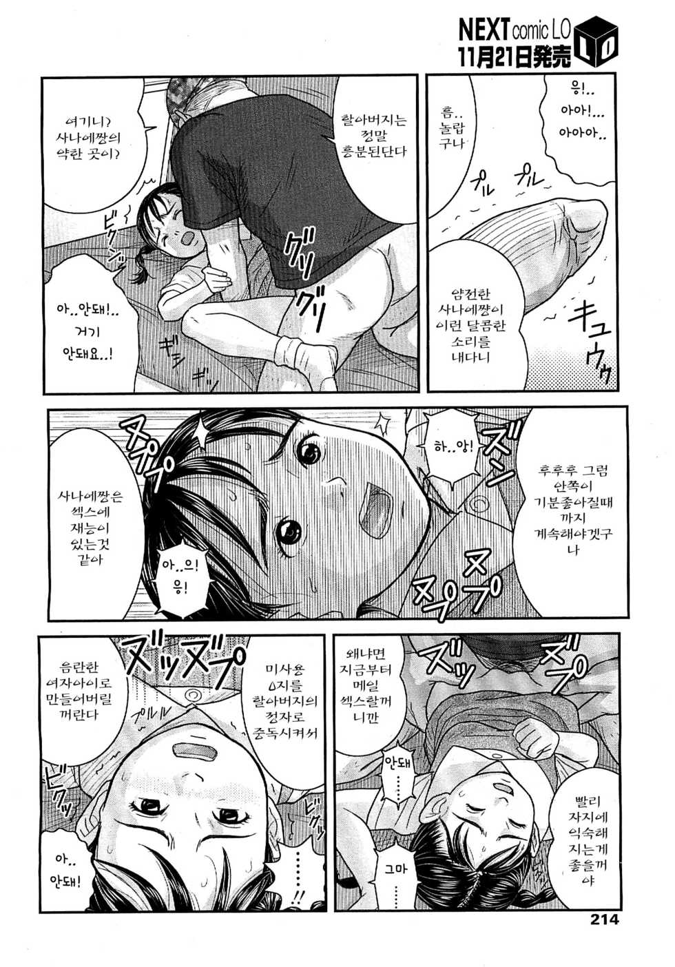 [Nimaji] Warui Ko | A Bad Girl (COMIC LO 2007-12) [korean] - Page 14