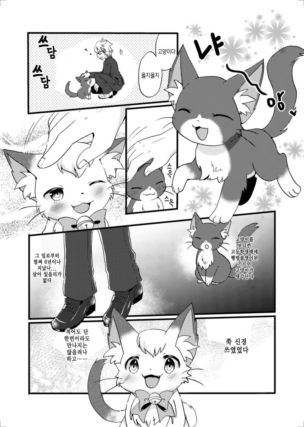 (Kemoket 4) [Pocket Drop (Kemoribbon)] Nekomata no Tamaki-chan [Korean] [팀 뀨뀨꺄꺄] - Page 6
